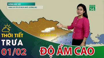 Thời tiết trưa, chiều 01/02/2024: Nhiều mây| VTC14