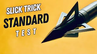 Slick Trick Standard, 125 Gr Broadhead Test