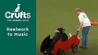 Heelwork To Music  Freestyle International Competition Part 2 | Crufts 2023