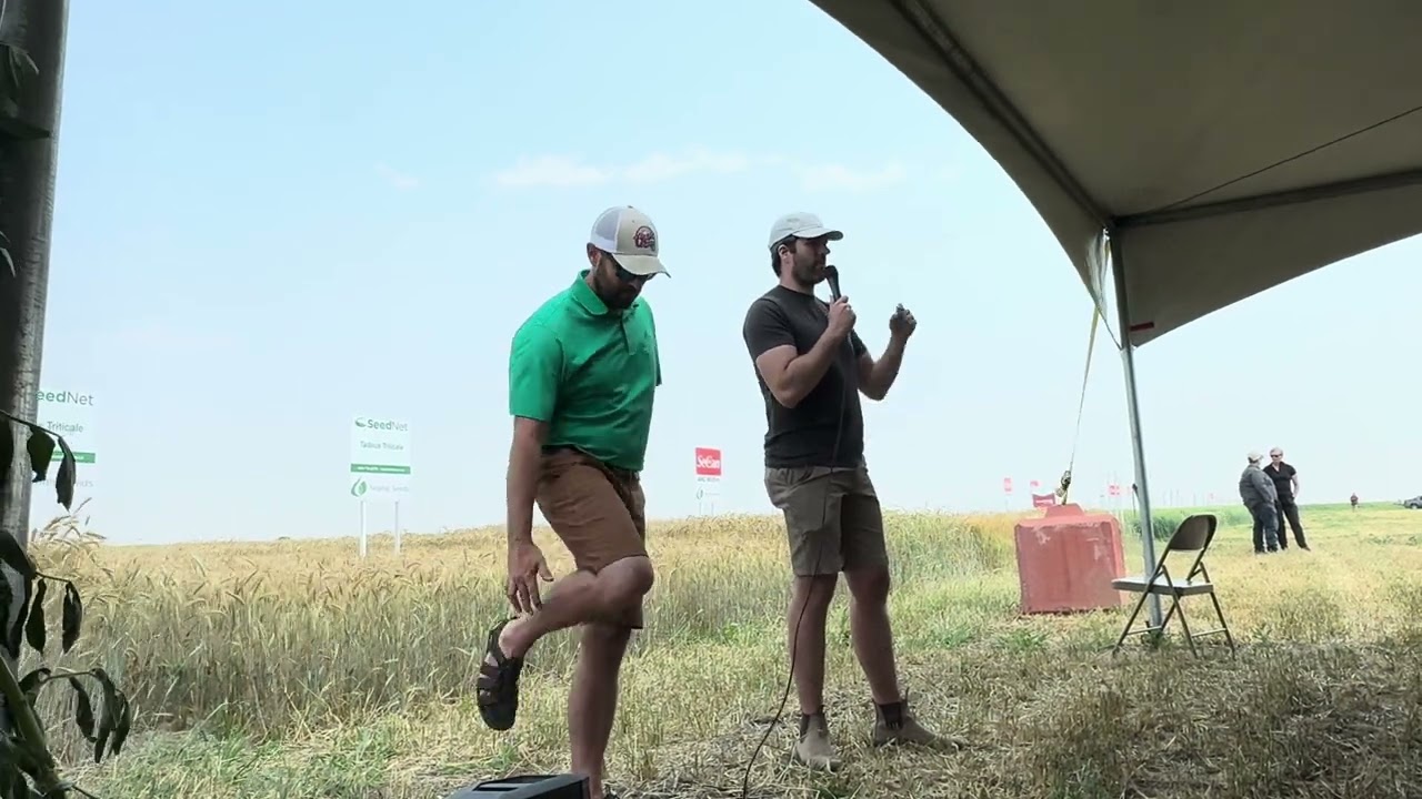 Faba Bean Update 2024