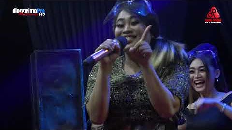 PANORAMA DIAN PRIMA   ALL ARTIS