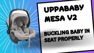 Buckling Baby in Uppababy Mesa V2 Properly