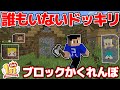 【豪華コラボ】米将軍さんとのブロックかくれんぼでドッキリしたら大爆笑の展開になりましたｗｗｗ【マイクラ】