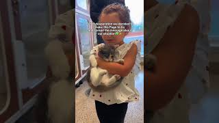 Every donation matters, link in bio🥹❤️#cat #kitten #community #animals #shelter