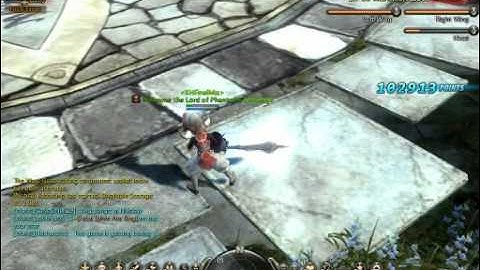 Dragon Nest Mercenary Manticore hell solo vs Manticore Lord