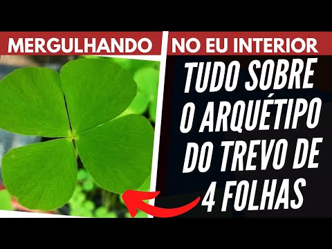 Vídeo: Sobre o trevo de quatro folhas - razões para encontrar um trevo com quatro folhas