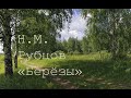 стихотворение Н.М. Рубцова "Берёзы"