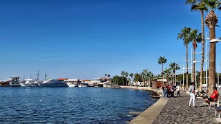 Набережная Пафоса / On the Coast of Paphos