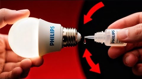 Stop Wasting Money on Bulbs – You’ll Never Look at Light Bulbs the Same Way Again!"