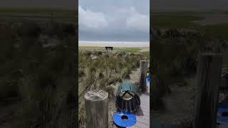 Hurricane Idalia Sarasota Siesta Beach Florida