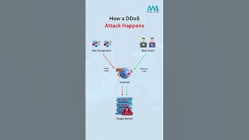 Understanding DDoS Attacks: A Quick Breakdown for Professionals