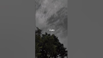 علي جابر…….🍃 #تلاوة_خاشعة #علي_جابر #قران #مصحف_القرآن_الكريم #المدينة #محمد_اللحيدان #مكة_المكرمة