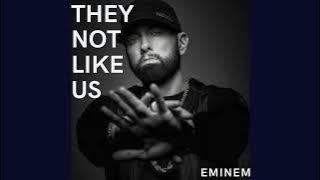 THEY NOT LIKE US (EMINEM)