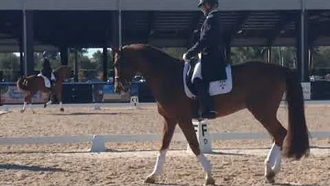 Uncut Grand Prix Dressage Warm-Up Footage Featurin...