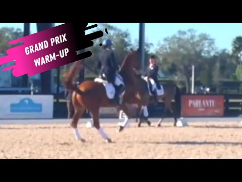 Video: Các Môn Thể Thao Olympic Mùa Hè: Dressage