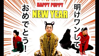 HAPPY PUPPY NEW YEAR (明けワンしておめでとう) / PIKOTARO(ピコ太郎)