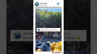 Gülme Krizine Girmelik Yeni - Komik Yorumlar 351 - Yoruma Gel Resimi