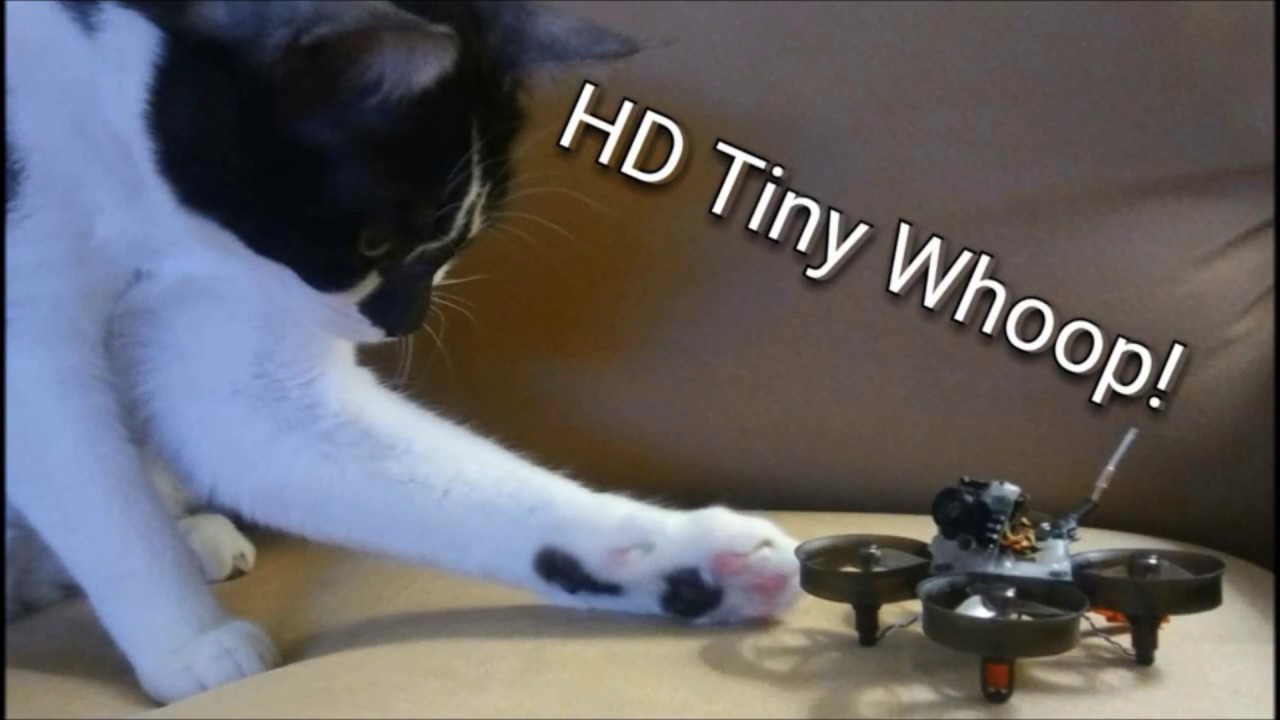 hd tiny whoop