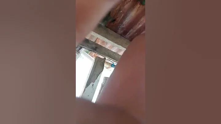 #yaoutubekshorts