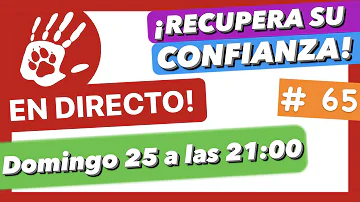 ¿Cómo puedo recuperar la confianza con mi perro?