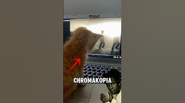 Tyler the Creator dropped THIS⁉️#tylerthecreator #chromakopia