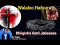 Walaloo Hafuura Ayyaana Faasikaa Dhiigicha 