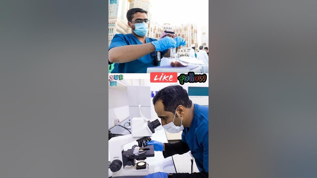 checking-the-quality-of-dates-in-masjid-al-haram-program-to-check