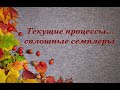 текущие процессы... сплошные семплеры