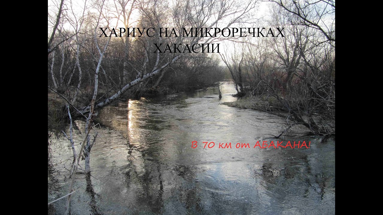Дром приус хакасия