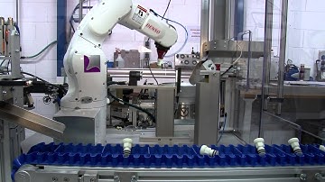 Berlingr assembly cell