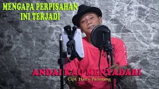 ANDAI KAU MENYADARI - Harry Parintang  { FIKRAM COWBOY cover }