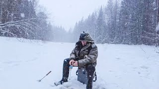 2 Days & 1 Night solo trip to forest cabin and snow forest / Ice fishing for grayling