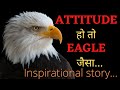 बाज की जिंदगी की कहानी जो आपकी सोच को बदलदेगी। Motivational and inspirational story of eagle...