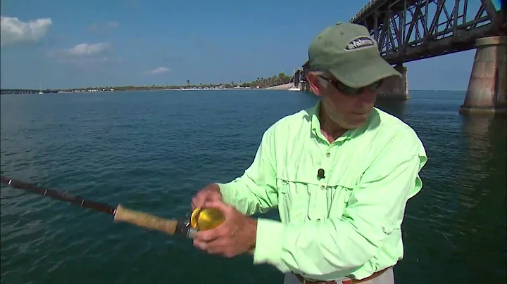 Tarpon Jig Fishing