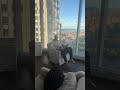 This NYC Apartment View Is INSANE 😳🏙️