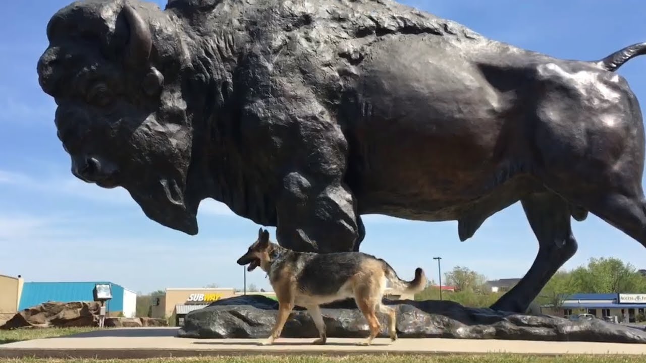 Guardian of the Plains