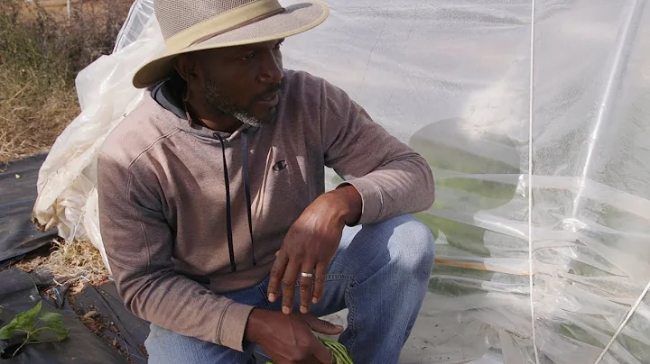 Bootstrapping High Tunnels | Faithfull Farms