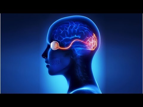 Wideo: Charakterystyka Mikrokrążenia Siatkówki W Ostrej Niedokrwiennej Przedniej Niedokrwiennej Neuropatii Wzrokowej Za Pomocą Funkcjonalnego Urządzenia Do Obrazowania Siatkówki: Prospekt