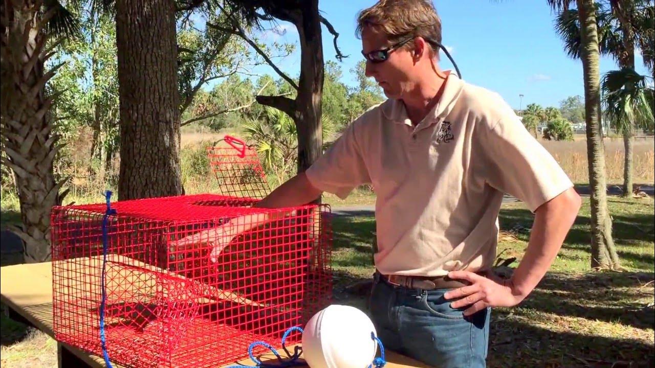 How to Pinfish Trap Use and Specifications YouTube