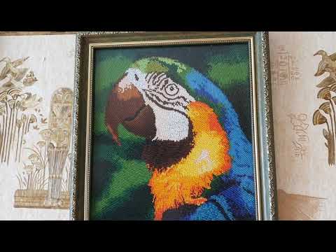 Готовая работа вышивка бисером в круговой технике Попугай (ТМ Butterfly)