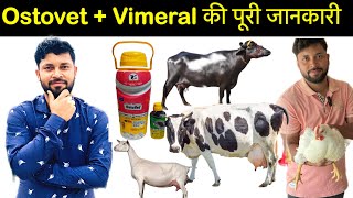 Ostovet calcium।पशुओ का दूध तेज़ी से बढ़ाये।ostovet forte and vimeral virbac| गाय/भैंस/बकरी/मुर्गी