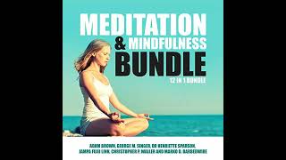 Meditation and Mindfulness Bundle: 12 in 1 Bundle Audiobook by Adam Brown