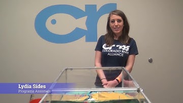 Intro to runoff and infiltration