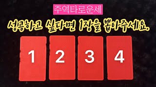 [타로/주역] 성공을 위해 지금 나에게 필요한 조언은?