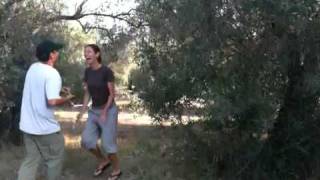 dance im Olivehain