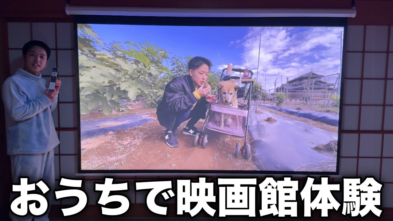 両親に“家で映画館体験”をプレゼントしてみた|Valerion VisionMaster Pro2