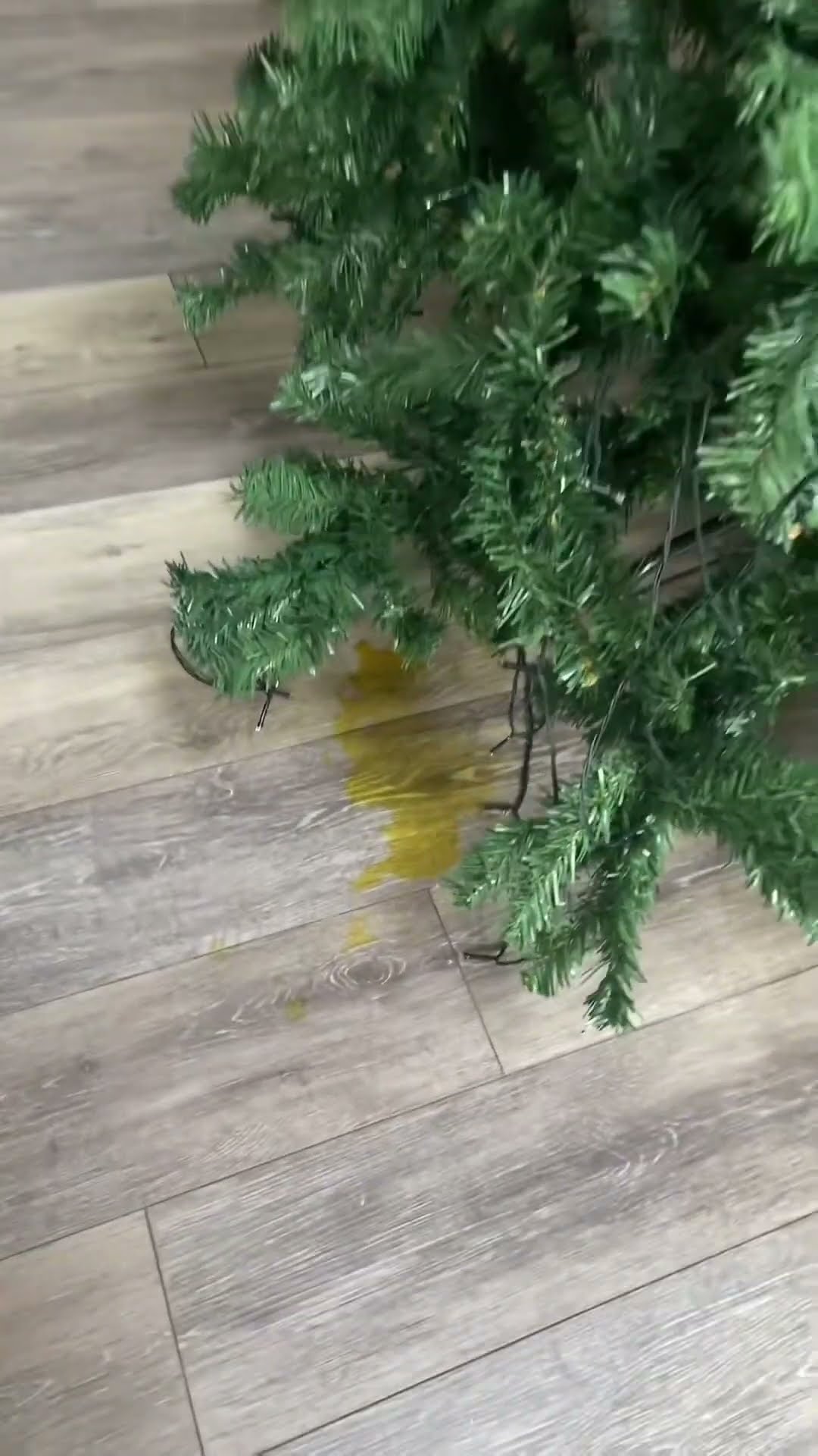 Dog Peed On Fake Christmas Tree || ViralHog
