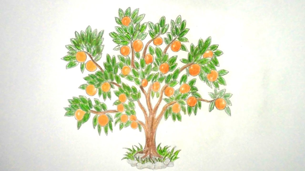 Orange Tree on Chinese Ming Vase: Drawing to Painting in Watercolor -  YouTube