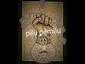 Kepal spi - pilu pemilu