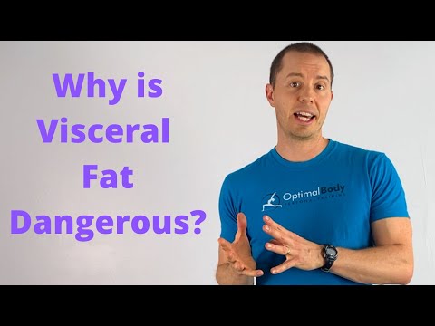 Why is Visceral Fat More Dangerous than Subcutaneous